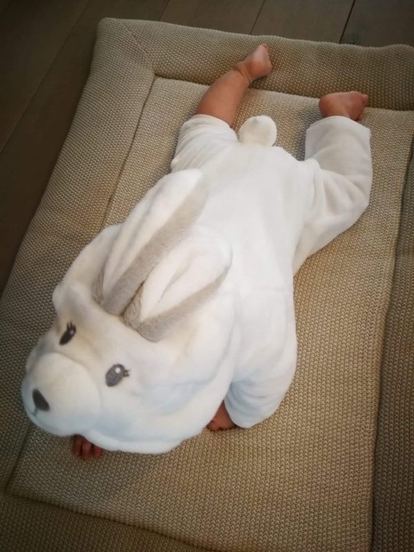 Rabbit pakje - baby's - Afbeelding 4